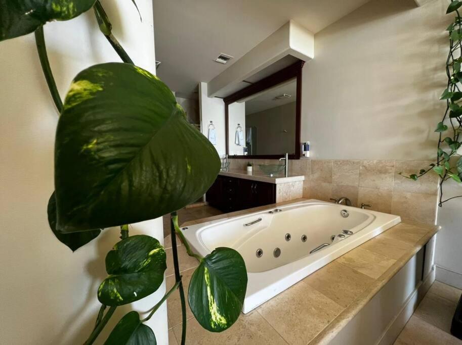 Access - Beach Penthouse Papas And Beer 2 Miles Wifi Rosarito Luaran gambar